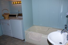 Ensuite Bathroom with laundry